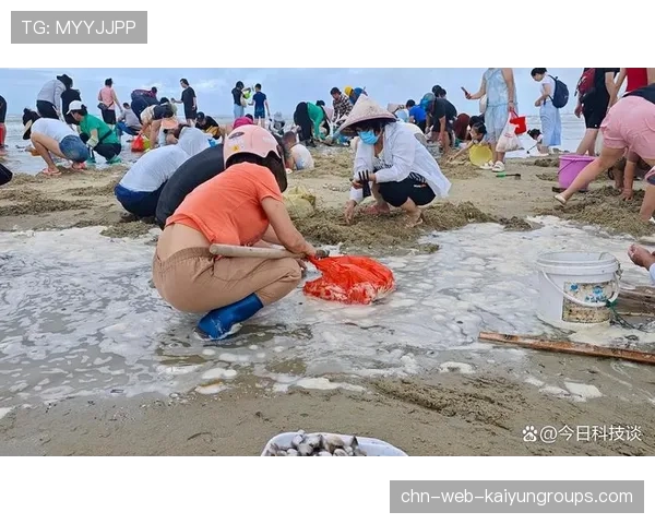 台风过后惠州赶海热潮涌现，惠州海边能赶海吗