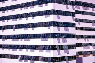 开云体育官方下载-体育新闻中心推进体育智库体系建设，体育专题报道